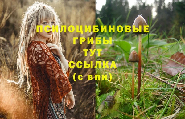 мескалин Новозыбков