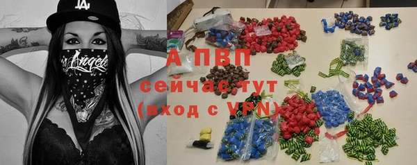 ECSTASY Новодвинск