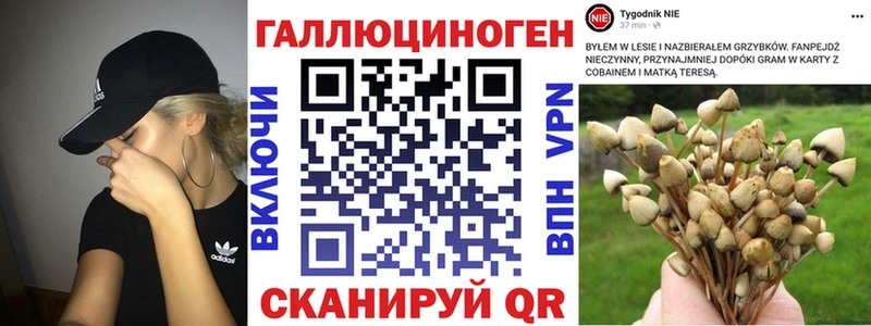Галлюциногенные грибы мухоморы Ульяновск